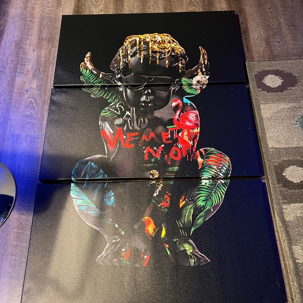 3 piece canvas $100 each design ( like new )